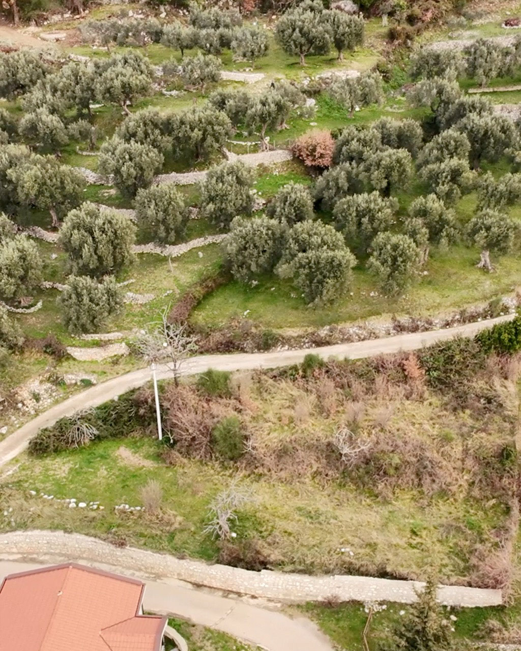 813m2-non-urbanistic-land-dobravoda 4