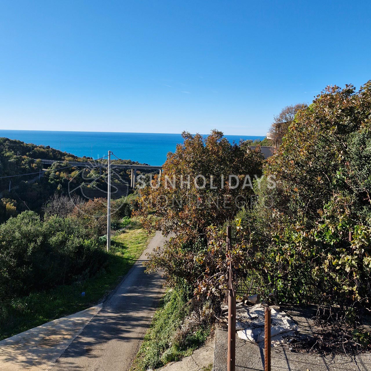 pecurice-house-bar 9 Large