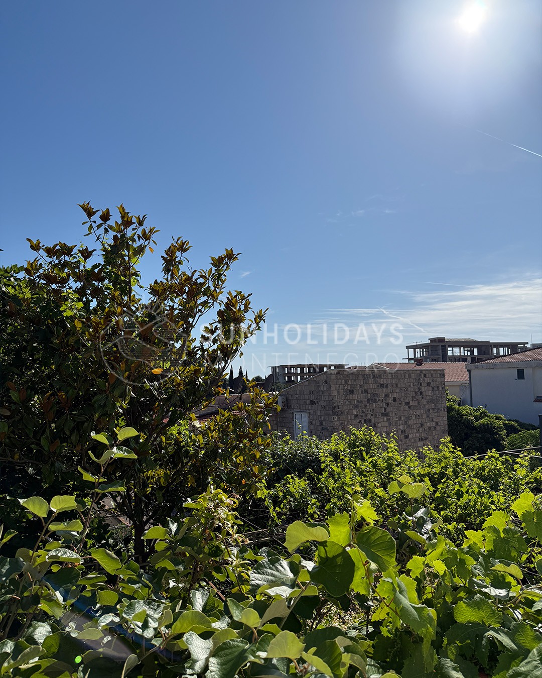 petrovac-two-houses-for-sale