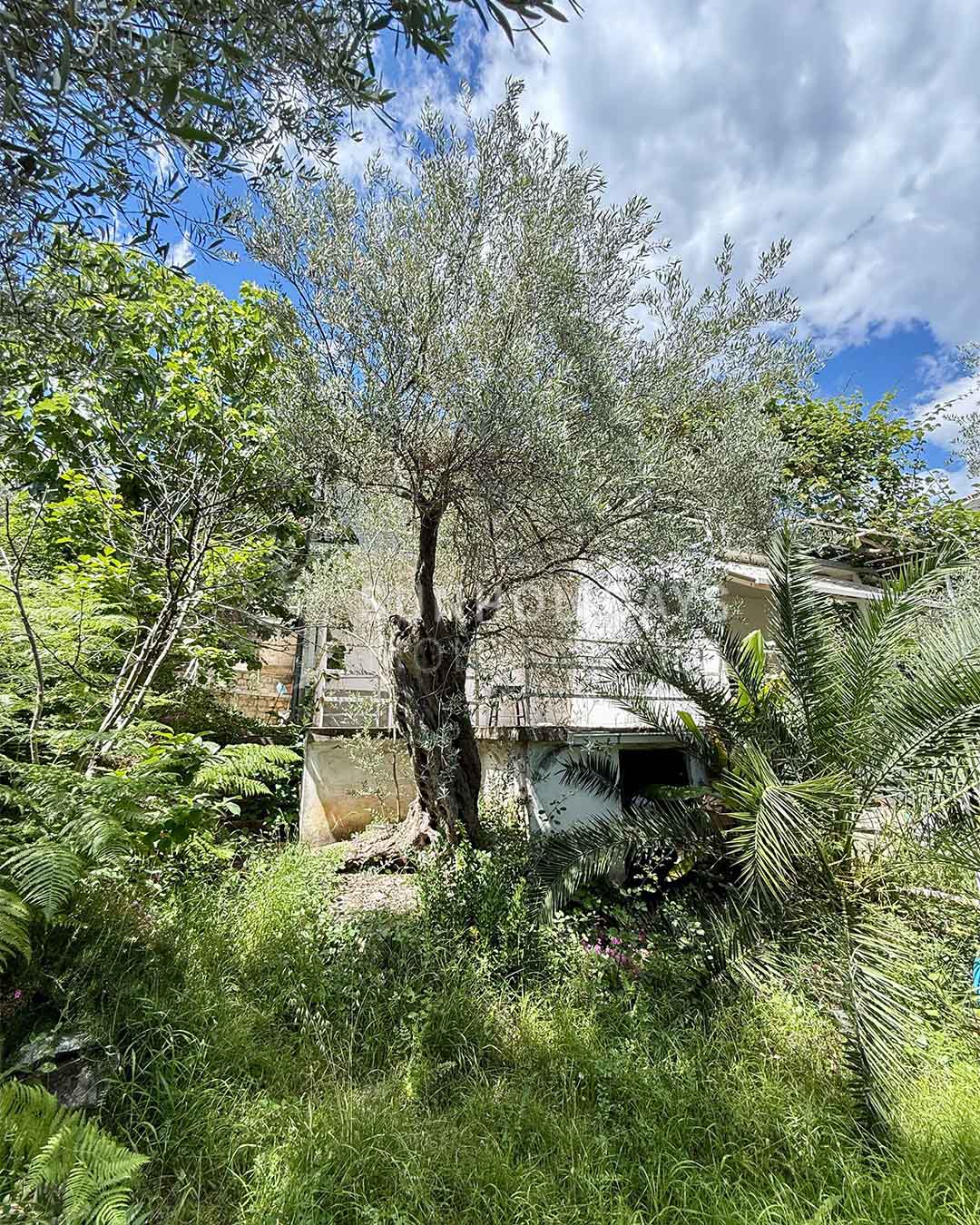 pinjes-2-floor-house 8