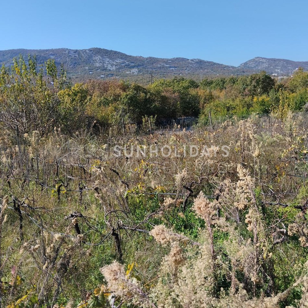 podgorica-house-with-land 3