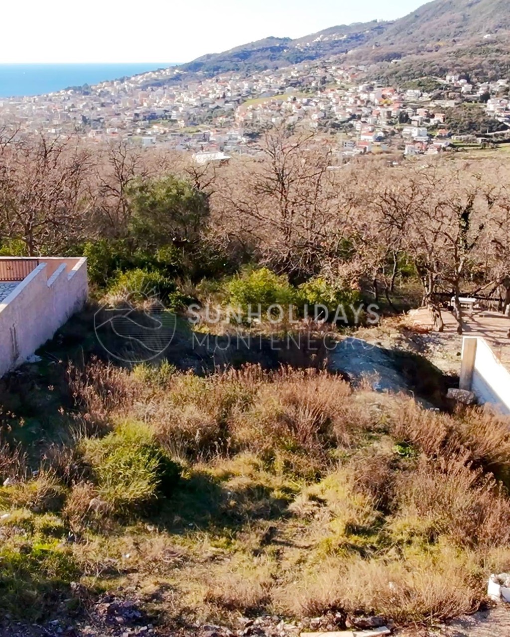 sustas-500m2-bar-land 3 Large