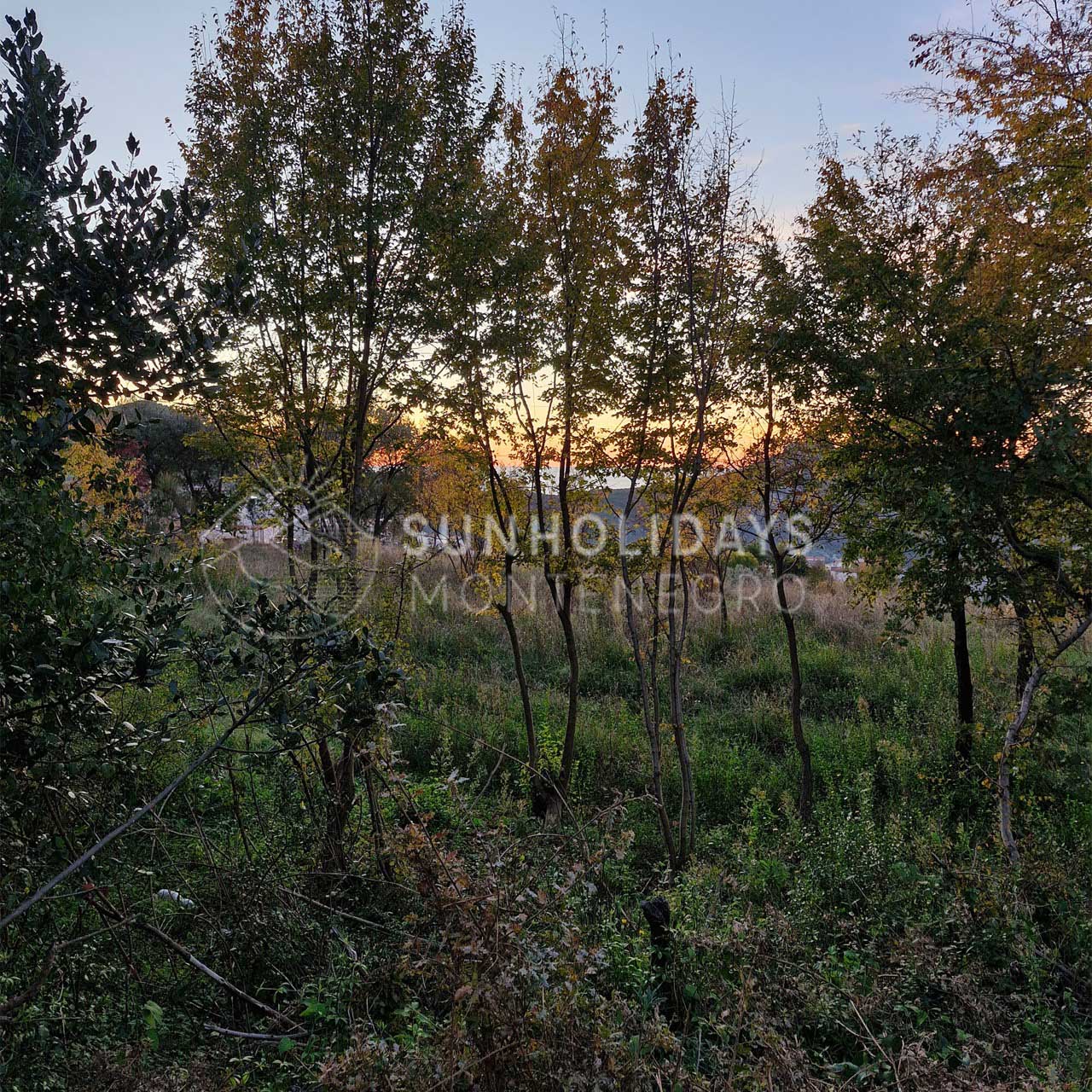 zaljevo-non-urbanistic-land-bar 5 Large