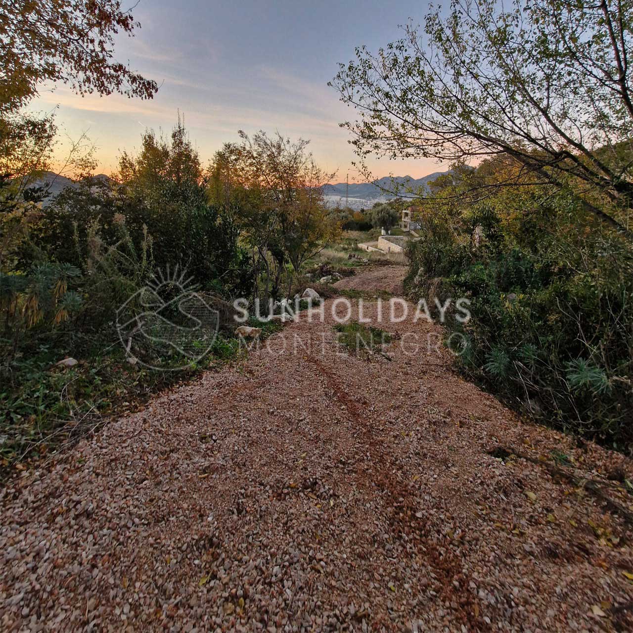 zaljevo-non-urbanistic-land-bar 6 Large