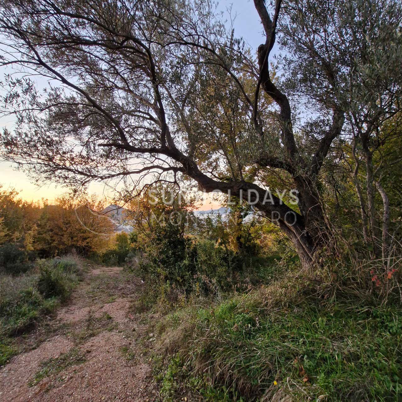 zaljevo-non-urbanistic-land-bar Large