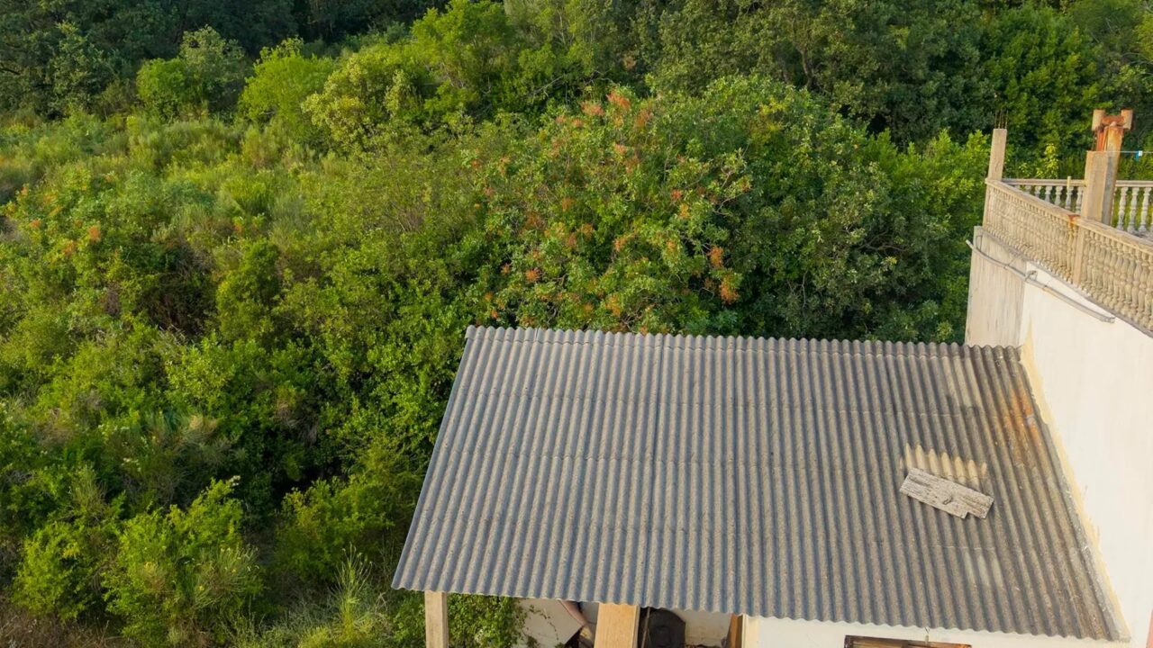 Ground-Floor House with Yard and Sea View among Olive Trees – Dobra Voda, Bar – SunHolidays Montenegro