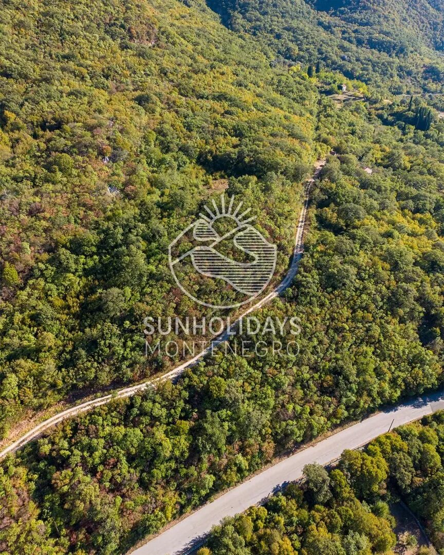 4,000 m² Land with City and Sea Views – Sustas, above Bar – SunHolidays Montenegro