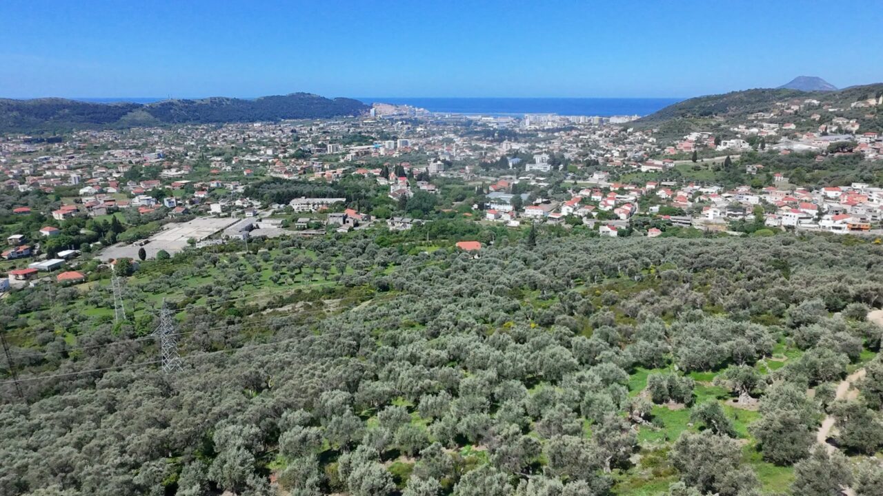 Olive Grove with Over 300 Olive Trees and Sea View – Stari Bar – SunHolidays Montenegro