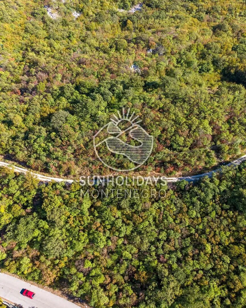 4,000 m² Land with City and Sea Views – Sustas, above Bar – SunHolidays Montenegro