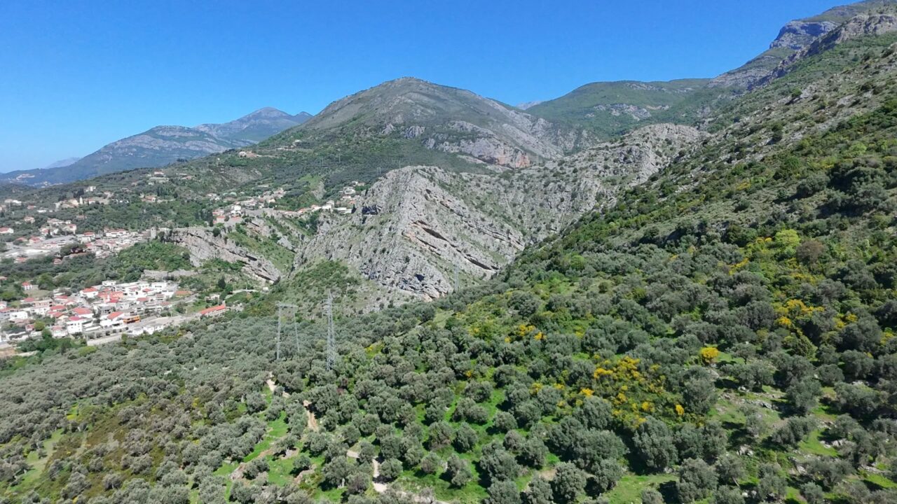 Olive Grove with Over 300 Olive Trees and Sea View – Stari Bar – SunHolidays Montenegro