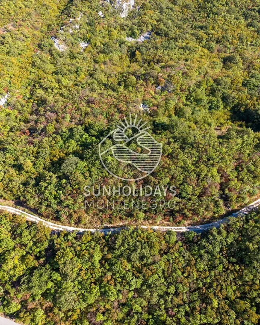 4,000 m² Land with City and Sea Views – Sustas, above Bar – SunHolidays Montenegro