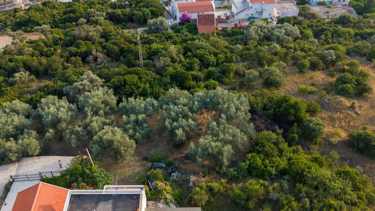 Ground-Floor House with Yard and Sea View among Olive Trees – Dobra Voda, Bar – SunHolidays Montenegro